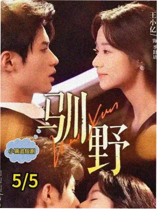 风从工位来剧集封面